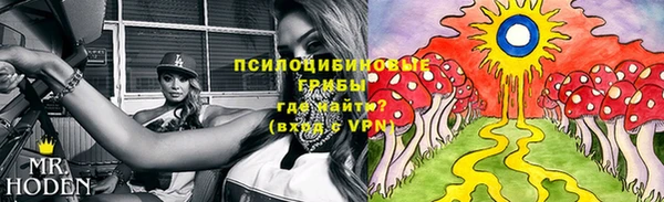 молекула духа Алзамай