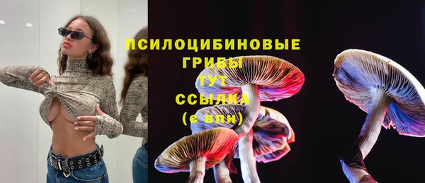 молекула духа Алзамай