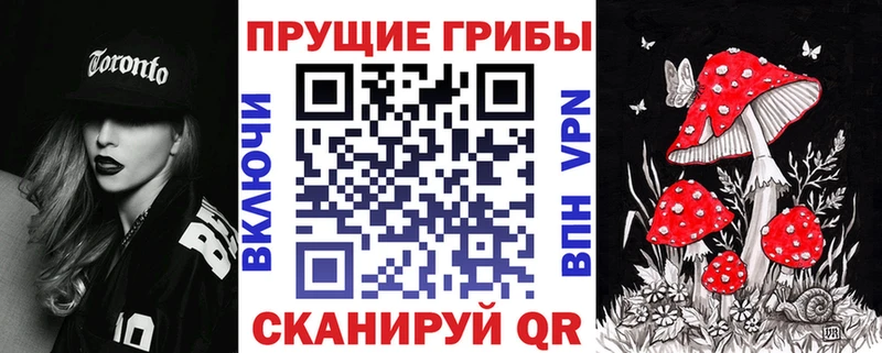 Псилоцибиновые грибы прущие грибы  купить  сайты  Починок 